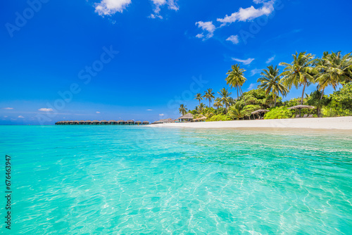 Amazing nature beach. Stunning sea coast palm trees sunny moody sky. Summer vacation travel holiday background. Maldives paradise destination. Luxury popular travel summer holiday landscape seascape © icemanphotos