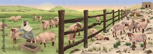 Biblical illustration that contrasts sheep wanting for nothing, under the management of Good Shepherd, with neglected and underfed sheep, on poor pasture with an indifferent owner, as in Psalm 23.