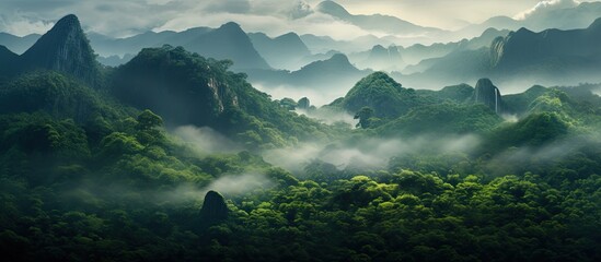 In the morning as the fog cleared a magnificent green landscape emerged revealing towering mountains lush forests and a breathtaking jungle creating the perfect background for an immersive 