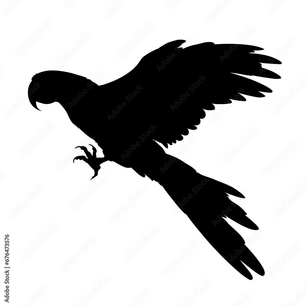 Obraz premium Parrot silhouette - isolated - vector illustration