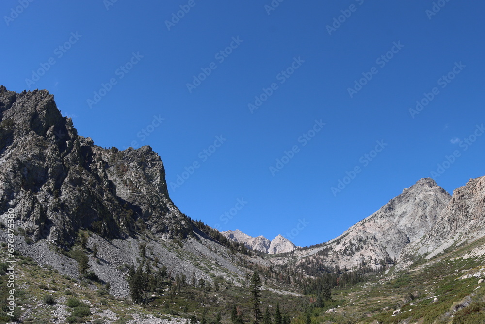 Ascending the eastern sierra nevada in late summer reveals a spectacular transition zone from montane forest to subalpine ecosystems at around 9000 feet.