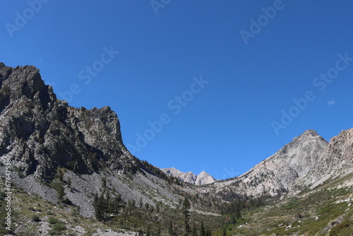 Ascending the eastern sierra nevada in late summer reveals a spectacular transition zone from montane forest to subalpine ecosystems at around 9000 feet.