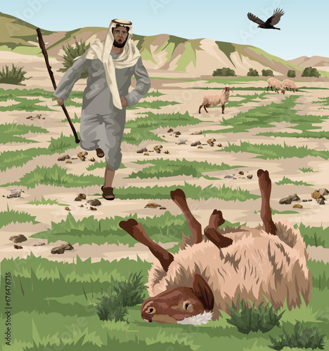 Shepherd running to rescue sheep stuck on its back, whilst vulture flies overhead. Biblical illustration depicting Psalm 23:3