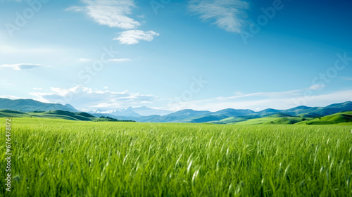 A serene summer scene with a lush meadow under a clear blue sky