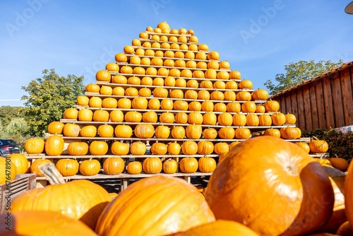 Group of pumpkins on the stand in Osnabrueck, Germany photo