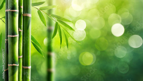 Slika na platnu green bamboo forest background with lots of bokeh and blur