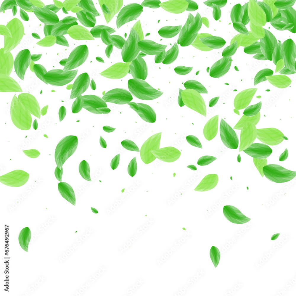 Light Green Sheet Background White Vector. Plant Drink Design. Fresh Illustration. Greenish Simple Card. Leaf Decorative. Light Green Sheet Background White Vector. Plant Drink Design. Fresh Illustration. Greenish Simple Card. Leaf Decorative.