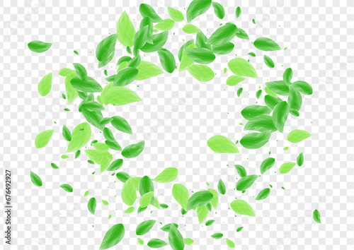 Greenish Plant Background Transparent Vector. Vegetation Summer Illustration. Falling Texture. Green Elegant Card. Leaves Spring.