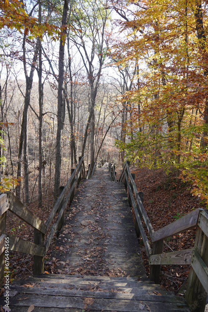 Bridge leading down the mountain side surrounded by trees inviting the cool fall wind Bridge leading down the mountain side surrounded by trees inviting the cool fall wind