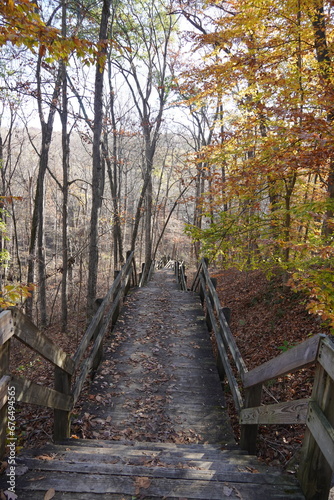 Bridge leading down the mountain side surrounded by trees inviting the cool fall wind