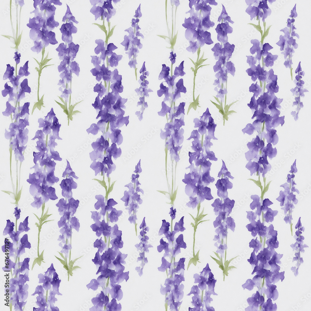 lavender flowers isolated on white