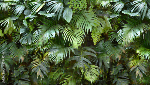 green leaves background. tropical green rain forest with many green. jungle full of plants and trees. wallpaper  background