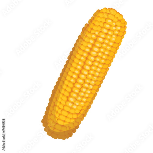 Corn cob vector illustration. Cartoon isolated top view of whole delicious maize crop, one fresh crisp vegetable for cooking delicious vitamin vegan food, ripe sweet corn product of farm market