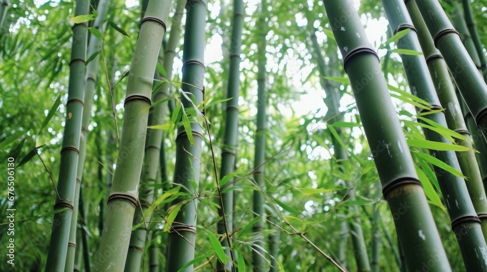 Obraz premium close-up of a single bamboo tree with its tall AI generated illustration