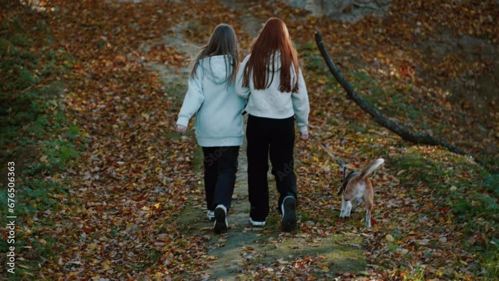 Two friends are walking in the park with a dog. The dog turns to look behind it. It is an incredibly beautiful time of year, the ground is covered with fallen leaves. Rear view Two friends are walking in the park with a dog. The dog turns to look behind it. It is an incredibly beautiful time of year, the ground is covered with fallen leaves. Rear view