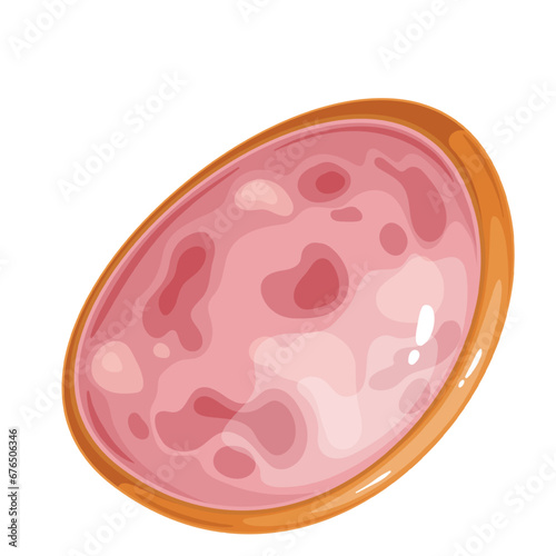 Ham sausage slice vector illustration. Cartoon isolated thin piece of pork, turkey or chicken delicatessen smoked meat product, top view of one ham circle for cooking tasty breakfast sandwich
