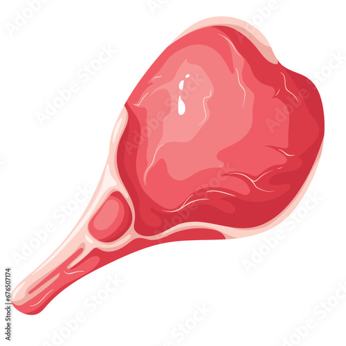 Raw meat steak with bone vector illustration. Cartoon isolated top view of one dry aged beef steak, fresh cow, veal or mutton piece with rib, uncooked organic product of butchers shop for cooking