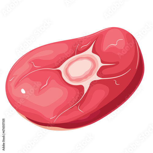 Raw round meat steak with marrow bone vector illustration. Cartoon isolated top view of gourmet beef slice, circle section of red cow or calf meat, organic farm product of butcher shop, supermarket