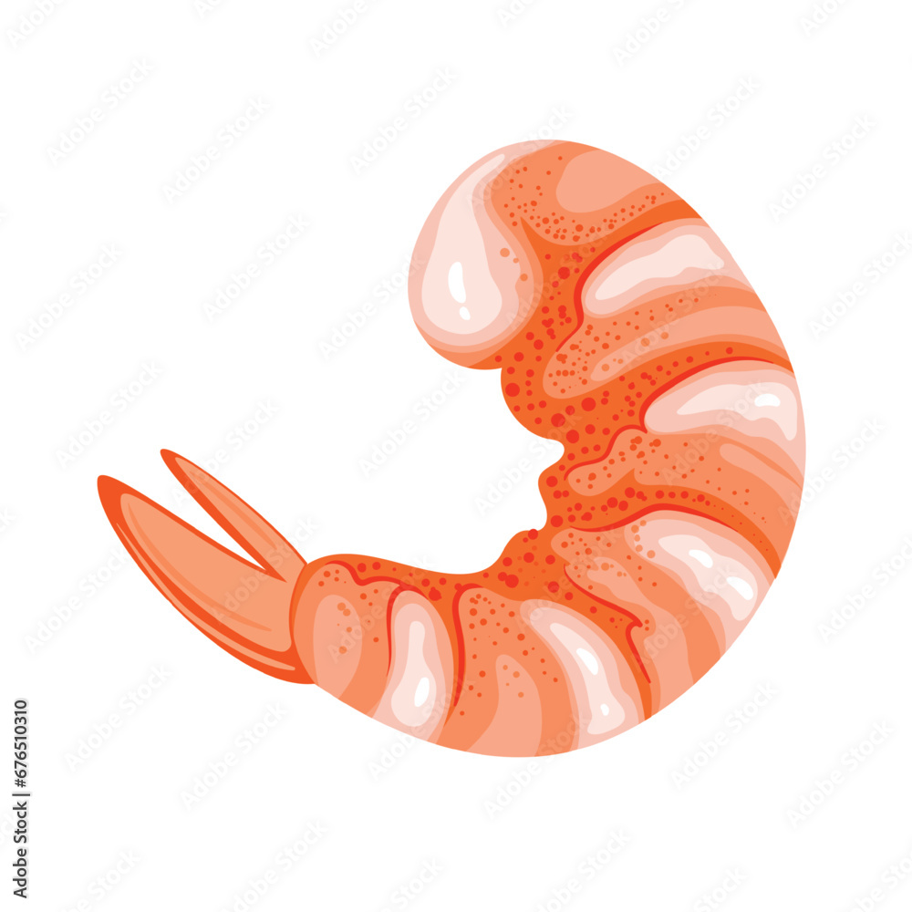 Shrimp vector illustration. Cartoon isolated top view of peeled fresh, frozen or cooked Jumbo Tiger prawn without head, one pink Asian shrimp and marine crustacean, delicatessen seafood for cooking