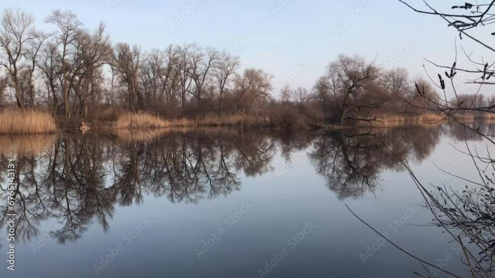 Landscape of a lake with reflecting trees on the water and purple sky Landscape of a lake with reflecting trees on the water and purple sky