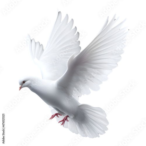 Flying dove isolated over transparent background © Taiwo