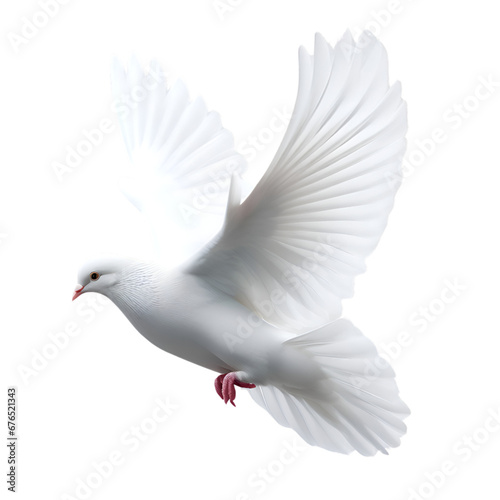 Flying dove isolated over transparent background 