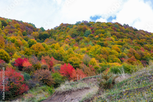 Warm autumn in the mountains covered with bright autumn trees. Colorful landscape.