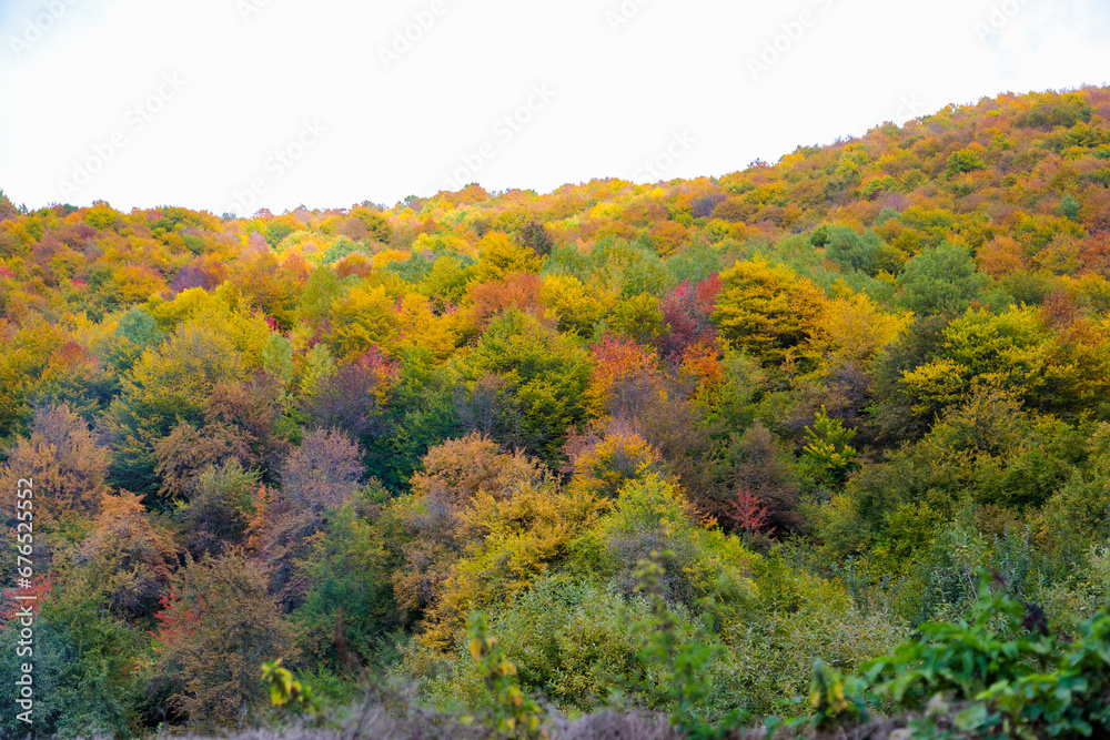 Warm autumn in the mountains covered with bright autumn trees. Colorful landscape.