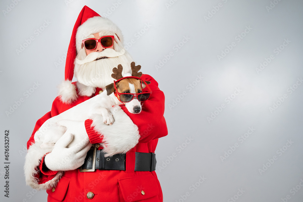Portrait of santa claus in sunglasses and dog jack russell terrier in rudolf reindeer ears on a white background. Portrait of santa claus in sunglasses and dog jack russell terrier in rudolf reindeer ears on a white background.