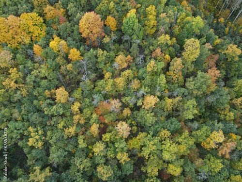 Top view of an autumnal dense forested area with colorful trees