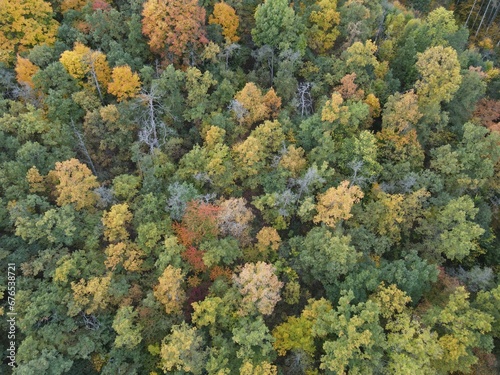 Top view of an autumnal dense forested area with colorful trees