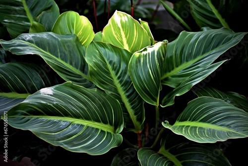 Tropical foliage plant. Generative AI