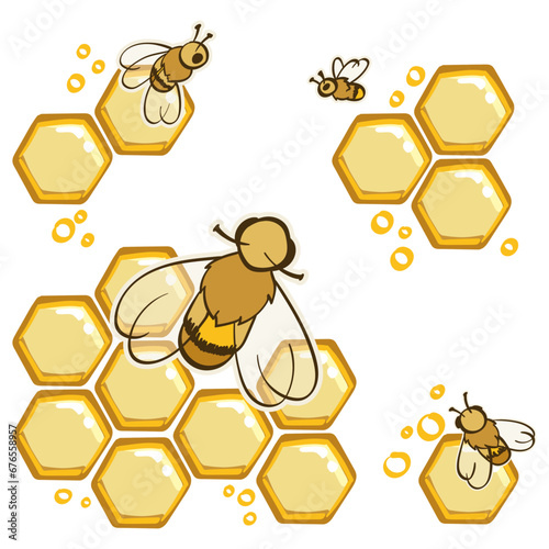 bees and honeycomb