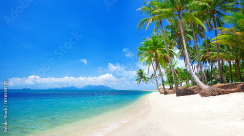 Fototapeta Naklejka Na Ścianę i Meble -  Panorama of tropical beach with coconut palm tree