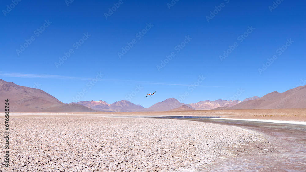Bolivia, Avaroa National Park. Two flamingos in flight over the desert. Bolivia, Avaroa National Park. Two flamingos in flight over the desert.