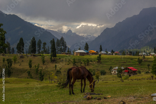 Picture of Mountain, Trees, River and Stream of adjoining areas of Kashmir. In this picture you can see the hill view along with stream and trees with beautiful scene of greenery on mountains