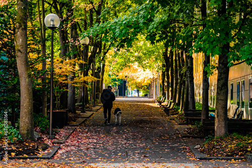 Person Walking on Path Under Colorful Fall Tunnel of Trees in Downtown Portland, OR