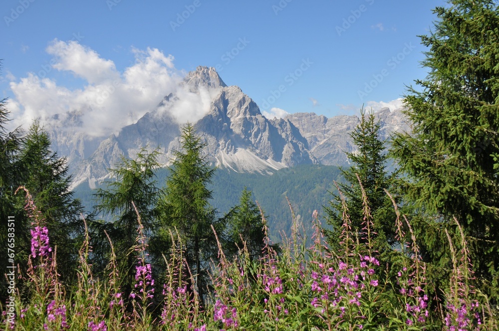 Big rocky mountains of the Alps in Italy surrounded by green trees against the blue sky