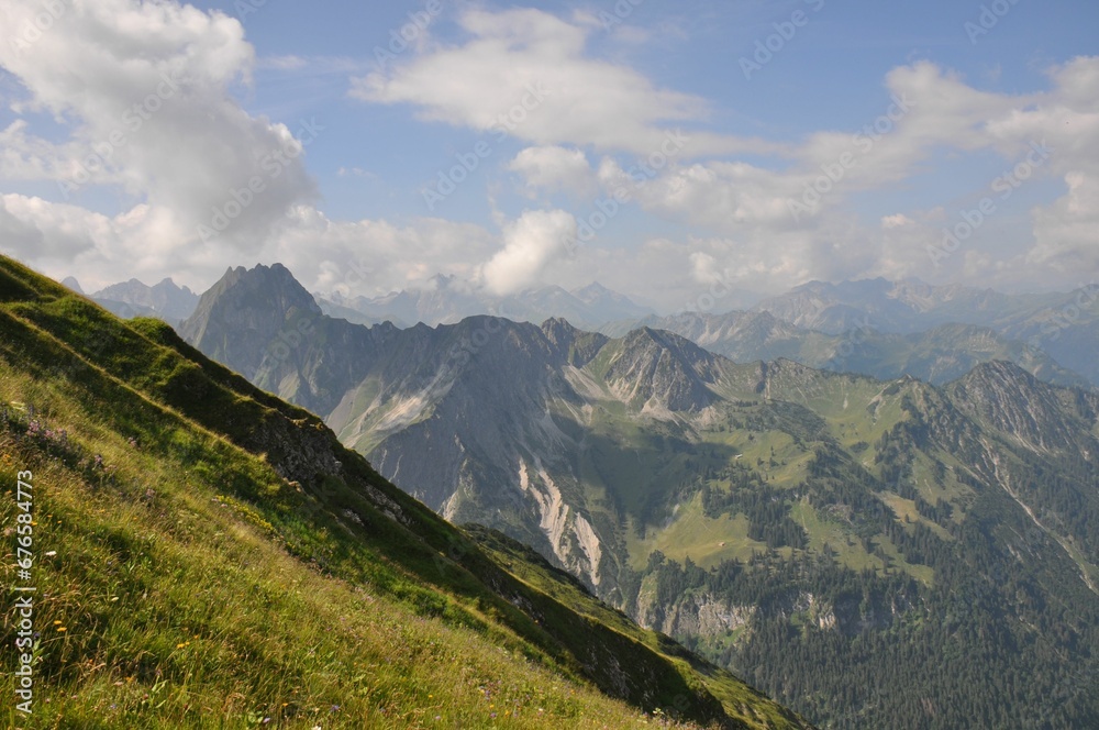 Mesmerizing shot of a steep slope of a grass mountain with montane forests in the background