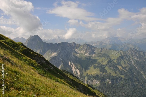 Mesmerizing shot of a steep slope of a grass mountain with montane forests in the background © Wirestock