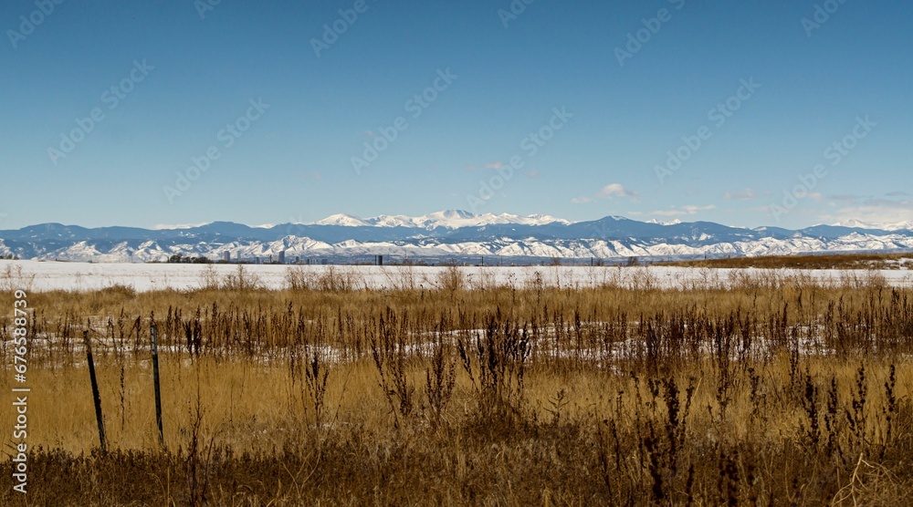 Landscape with yellowish-brown plants and snowy mountains in the background