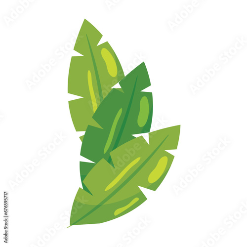 Isolated colored tropical leaves Vector