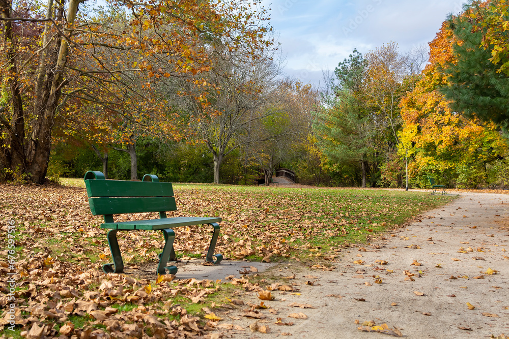 An isolated bench surrounded by fallen dry leaves, with colorful autumn trees in the background, Charles River Greenway, Watertown, Massachusetts, USA