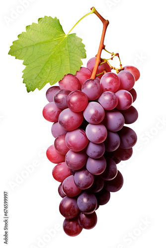 Grapes over isolated transparent background