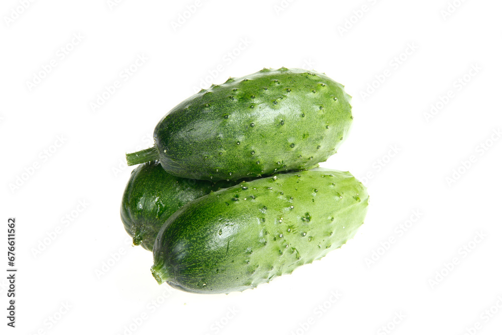 Fresh cucumber on the white background color Fresh cucumber on the white background color