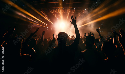 crowd at party concert
