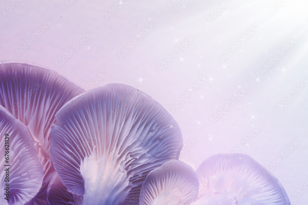 Fresh psilocybin (magic) mushrooms with stars on light background, closeup. Color toned Fresh psilocybin (magic) mushrooms with stars on light background, closeup. Color toned