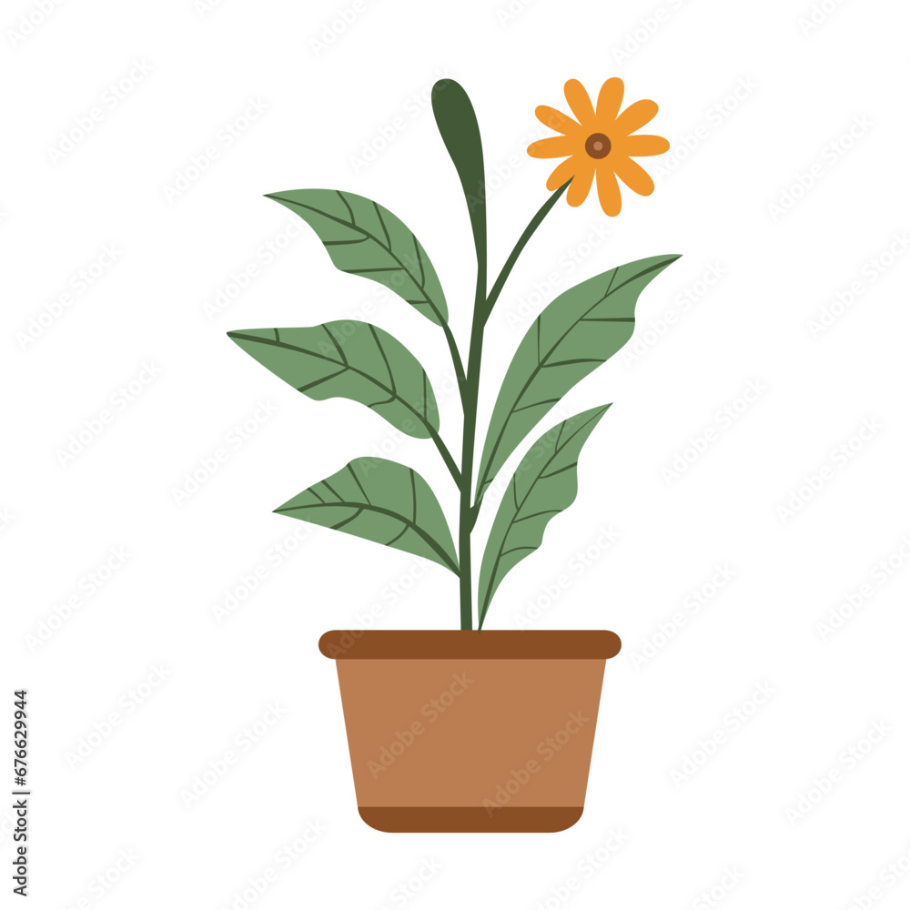 vector illustration of botanical flower pot