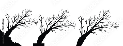 Black Branch Tree vector. silhouette of a bare tree. silhouette of dead tree vector illustration. silhouette of trees and branches without leaves. Bare Tree silhouette.