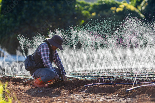 Asian farmer is fixing the clogged in the hose of irrigation watering system  growing organics plant during spring season and agriculture concept